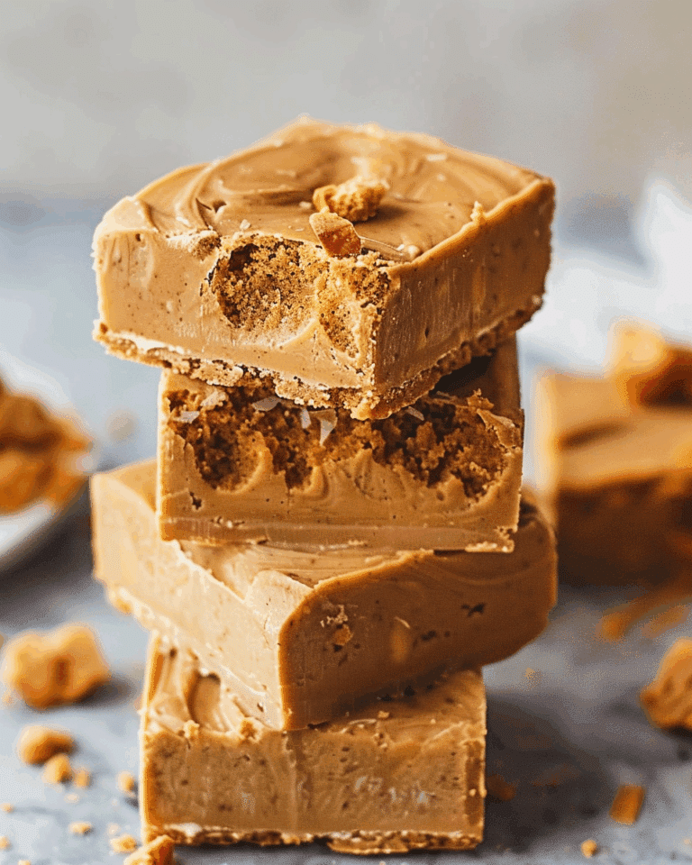 The Best Biscoff Fudge