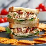 Sun Dried Tomato Chicken Salad Recipe