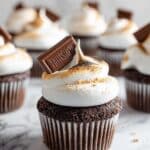 S’mores Cupcakes Recipe