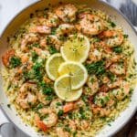 Shrimp Scampi Orzo Recipe