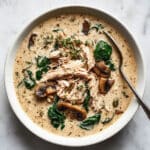 Cozy Rotisserie Chicken Mushroom Soup Recipe