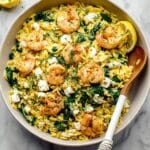 Lemon Shrimp Orzo Recipe