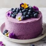 Blueberry Chocolate Cake Recipe