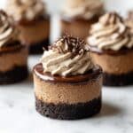 Mini Triple Chocolate Cheesecakes Recipe
