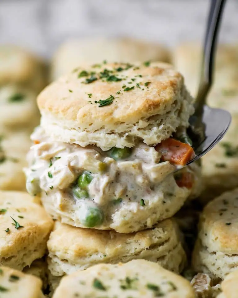 Biscuits and Chicken Pot Pie Recipe