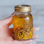 How to Make Green Peppercorns in Brine Recipe