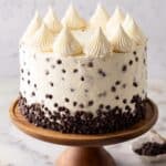 Chocolate Chip Cake with Vanilla Buttercream Frosting Recipe