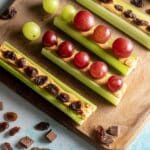 Celery Animals: Fun and Creative Snack Ideas for Kids Recipe