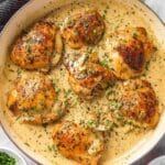 Creamy Garlic Chicken Recipe