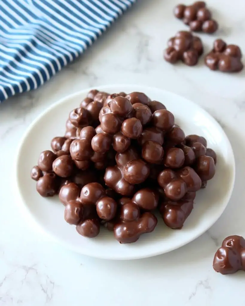 Chocolate Covered Blueberries Recipe